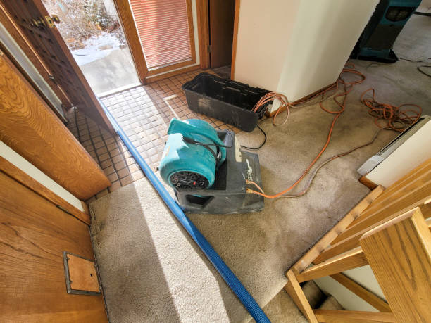 Best Water damage contractors near me  in Fort Valley, GA