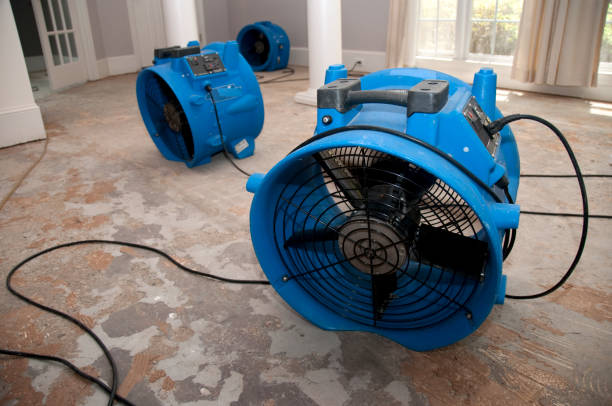  Fort Valley, GA Water damage restoration Pros