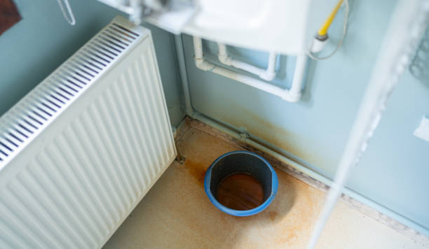 Best Carpet water damage restoration  in Fort Valley, GA
