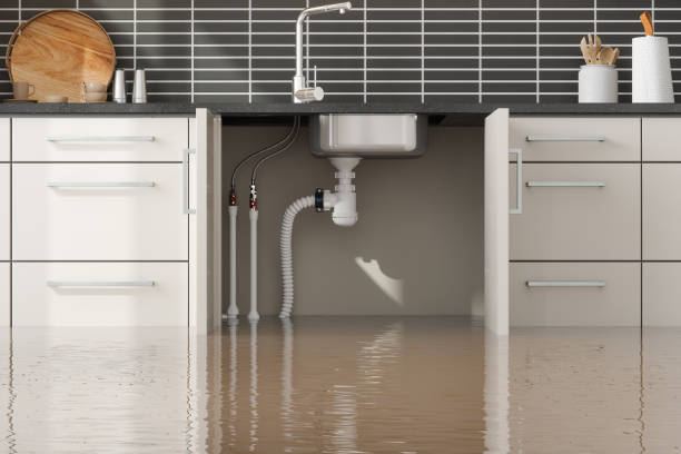 Best Fire Damage Restoration  in Fort Valley, GA