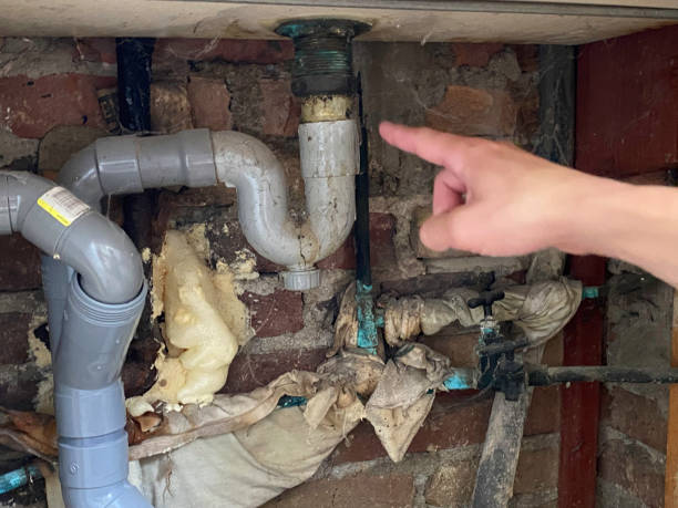 Best Flood restoration services  in Fort Valley, GA