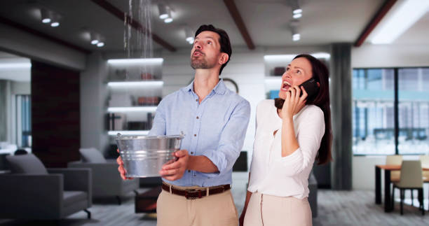 Best Basement water damage restoration  in Fort Valley, GA